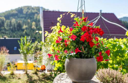 Ferienwohnung Rennbachtal - Foto 20