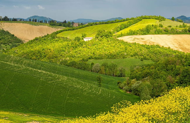 Tour privato dei colli bolognesi in Fiat 500 - Foto 3