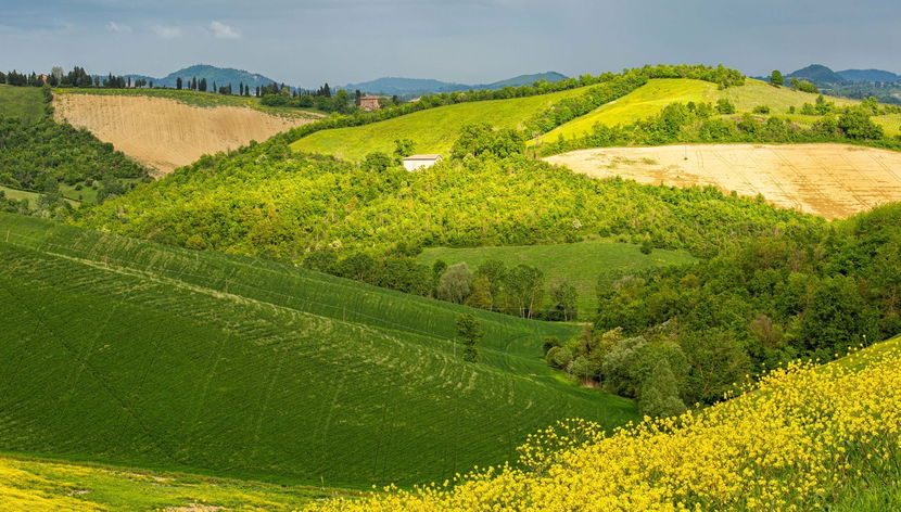 Tour privato dei colli bolognesi in Fiat 500