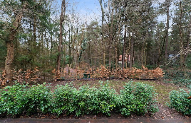 Forest House in Norg With Private Sauna - Photo 40