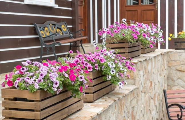 Rozstani Lrls025 in Svetl pod Je Tedem - Photo 8