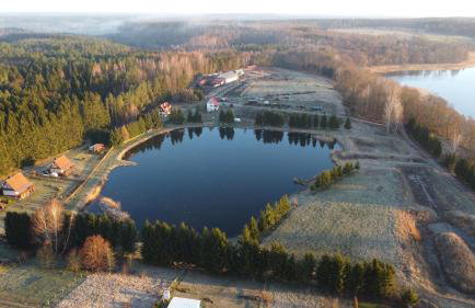 Mazurski Domek Papy Smerfa plaża pomost jezioro prywatny staw gospodarstwo pasieka - Foto 40