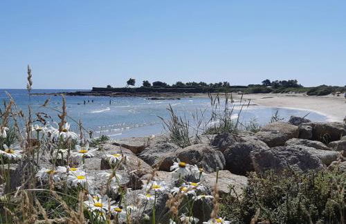 Les pieds dans l'eau - Cosqueville Vicq-mer - Foto 33