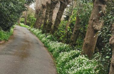 Castle Annexe from 3 nights - Foto 21