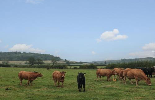 Bellmanear Farm Cottage - Photo 28