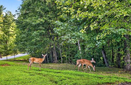 Dockside of the Moon - Photo 59