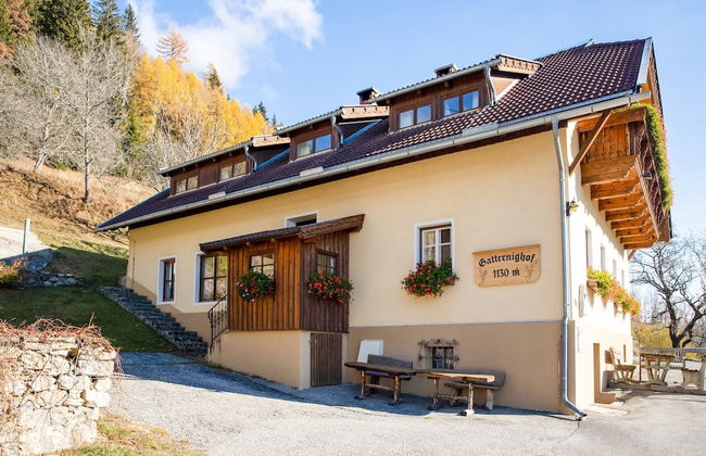 Holiday Home in Obervellach Near ski Area - Photo 18