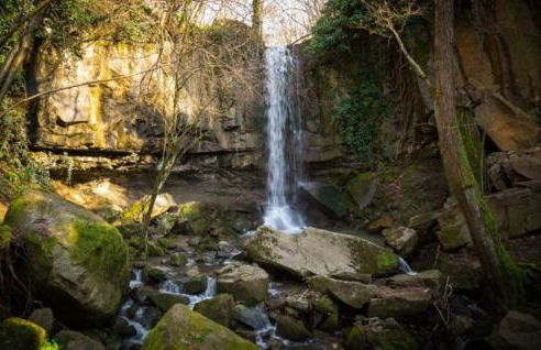 Residence Delta - Foto 36