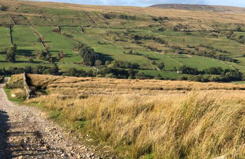 Coverdale cottage - Photo 62