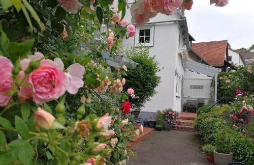 Ferienhaus Landhaus Am Hirtzborn - Foto 11