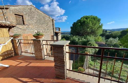 La Camelia - Foto 37