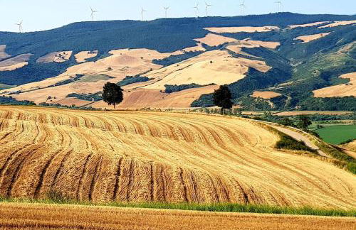 Casa Santa Maria - Beautifully restored house in centro storico Irsina Basilicata Puglia - Photo 33