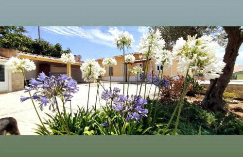 Kyrios Family 5p Villa with private pool - Foto 55