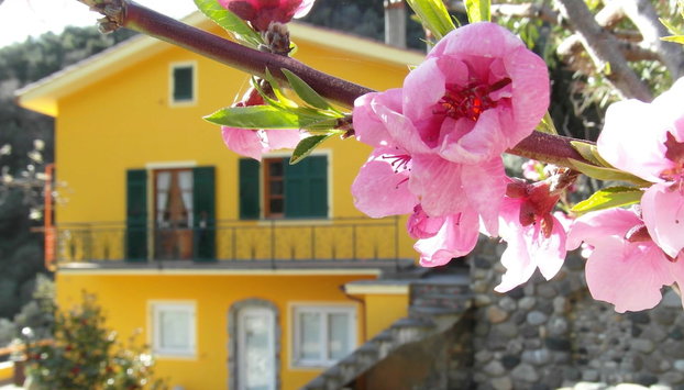 Agriturismo Costa di Campo - Foto 2, Profilbild