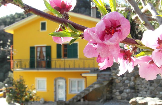 Agriturismo Costa di Campo - Foto 1