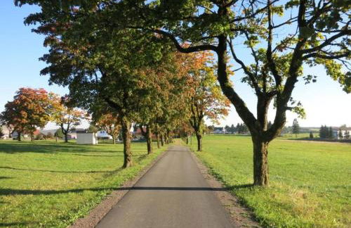 Einladende Ferienwohnung mit Garten - Foto 42
