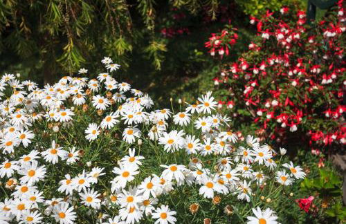 Casa da Portada - Foto 22