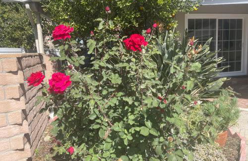 Private Pool 4BR Family Retreat - Patio, Outdoor Dining, BBQ Grill, & Free Parking - Sleeps 8 - Foto 3