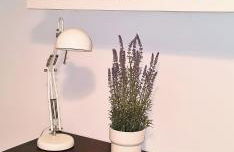 APTARTAMENTO DOÑANA RECIEN REFORMADO Parking gratis - Foto 39