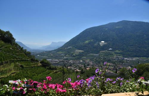 Residence Blumenthalerhof - Foto 31