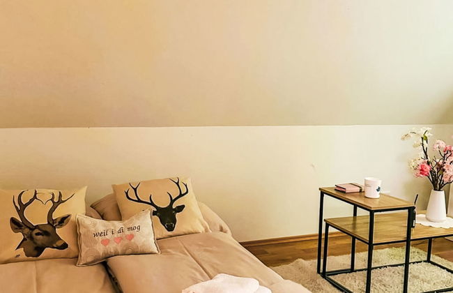 Steirisch Ursprung - Foto 37