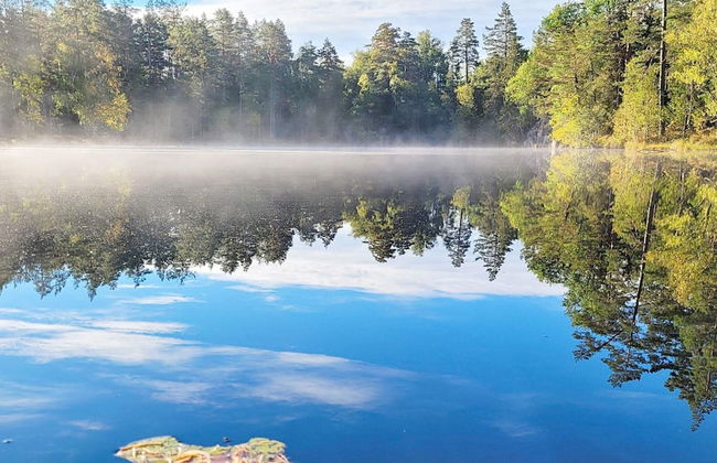 5 Person Holiday Home in Gamleby-by Traum - Photo 12