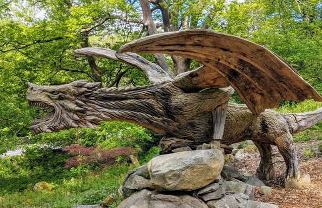 Tour dei castelli di Conwy, Dolbadarn e Caernarfon - Foto 5