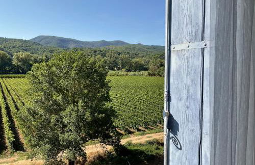 Domaine de Coubillou - Foto 14