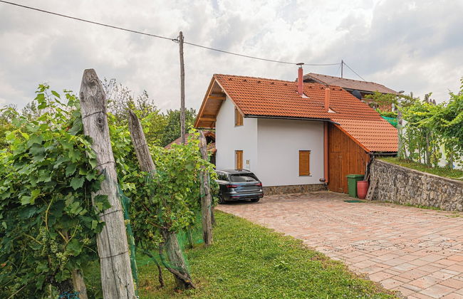 Rainbow Cottage In The Vineyards - Foto 17