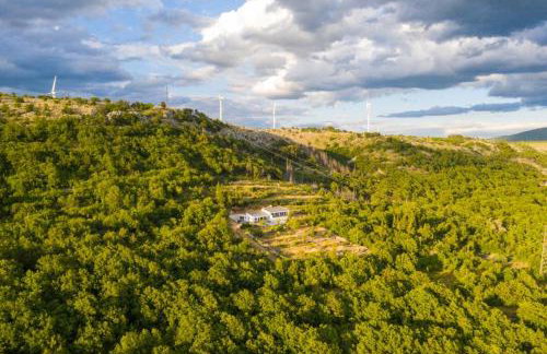 La Finca OliveTree - Foto 10