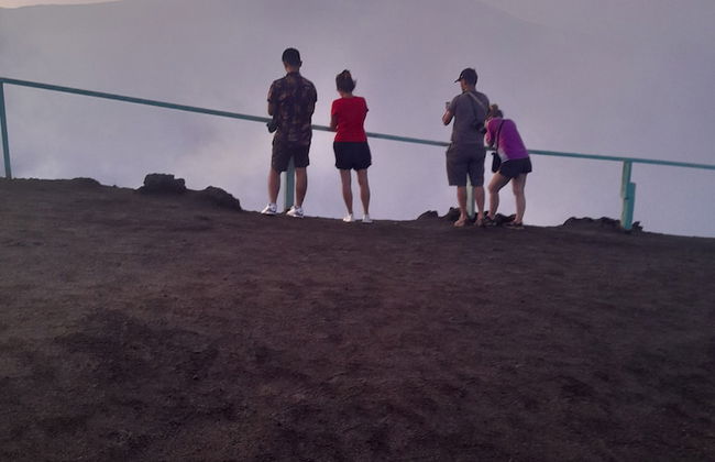 Glowing Mountain view tree house - Photo 47