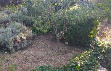 House Radojka - Foto 19