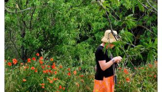La Cerisaie, maison spacieuse en Lubéron - Foto 4