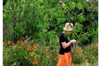 La Cerisaie, maison spacieuse en Lubéron - Foto 4