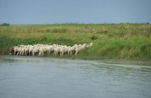 Appartement Pico - Foto 13