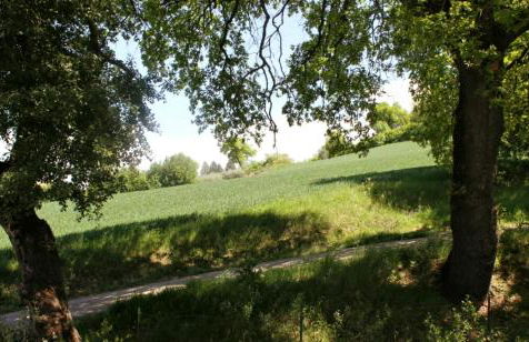 Residenze l'Alberata - Photo 35