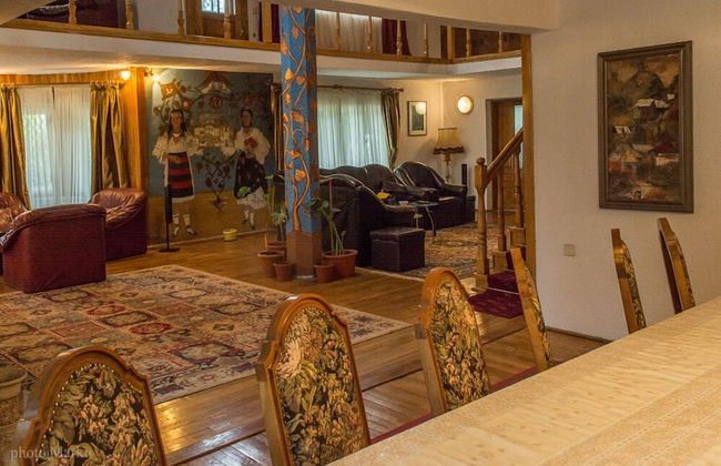 Vila Flora Viseu de Jos - Foto 18