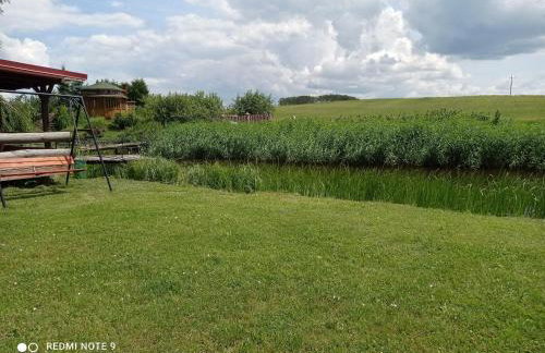 Nad żabim stawem - Foto 25