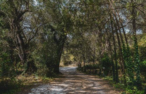 Dimoulitsa Villas Complex - Foto 33