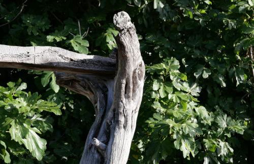 Casa Rural Los Llanillos - Foto 19