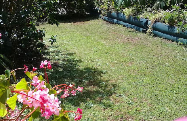 Norfolk Holiday Apartments - Foto 13