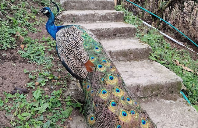 Casa Tien - Photo 79