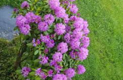 Ferienwohnung-Wald - Foto 26