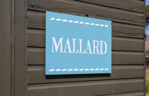 Mallard - Bleasdale - Foto 7