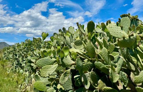 Casita del Toro - Foto 29