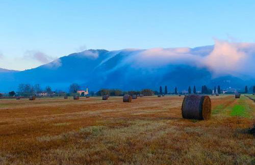 Intero alloggio campagna Lucca - Foto 55