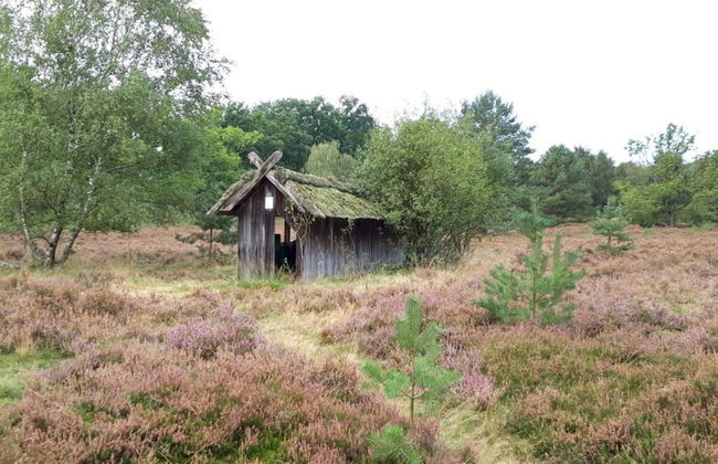 Apartment at the Eichenpark - Foto 25