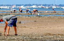le Colibri "3 étoiles" - Foto 25