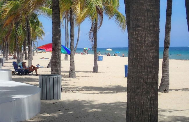 #1 Beach Estate Las Olas Beach Best Location - Foto 71