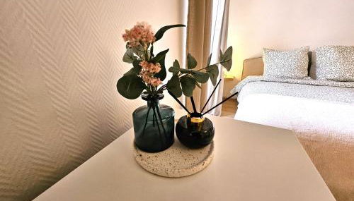 Studio Cosy- Hyper Centre Ville - Foto 5